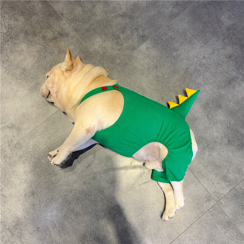 Dog Dinosaur Clothes