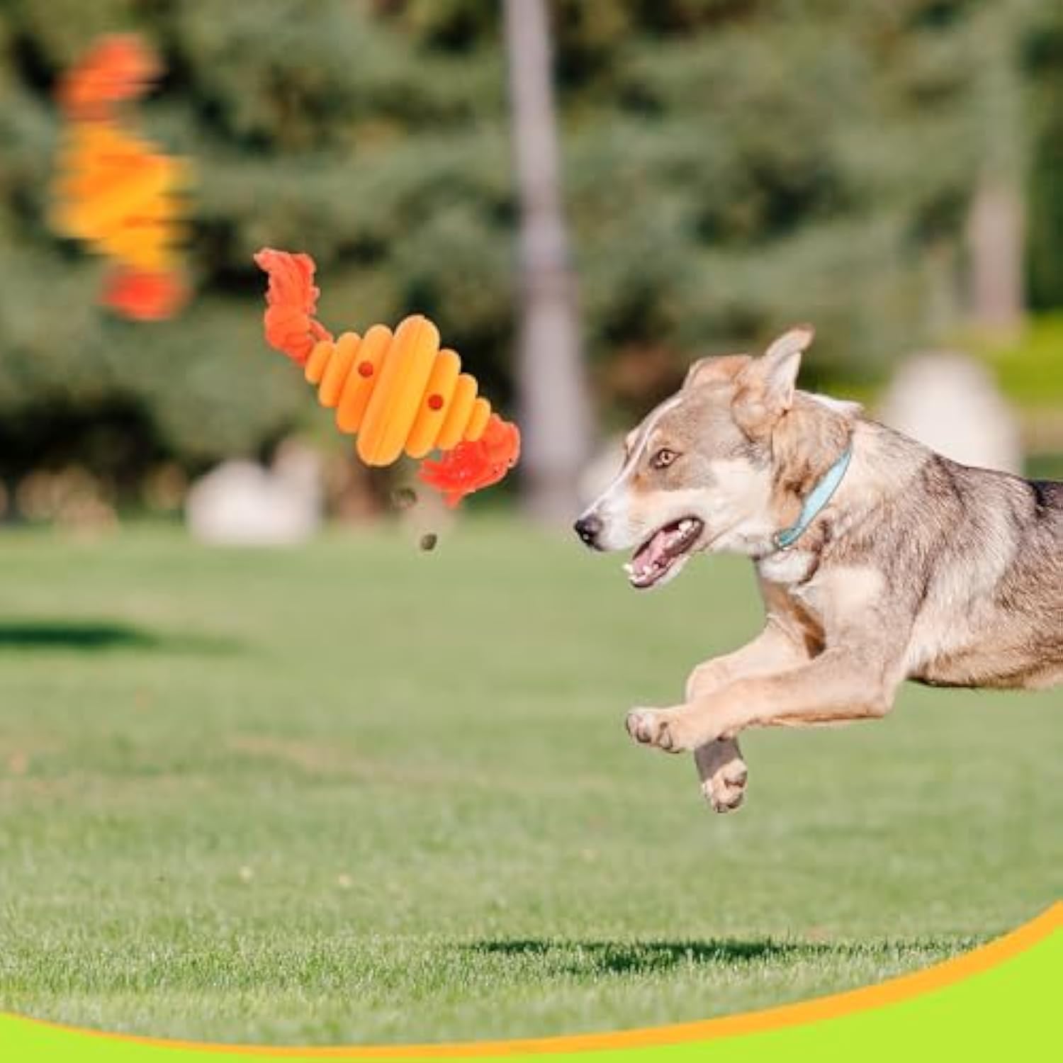 Dog Ball With Rope