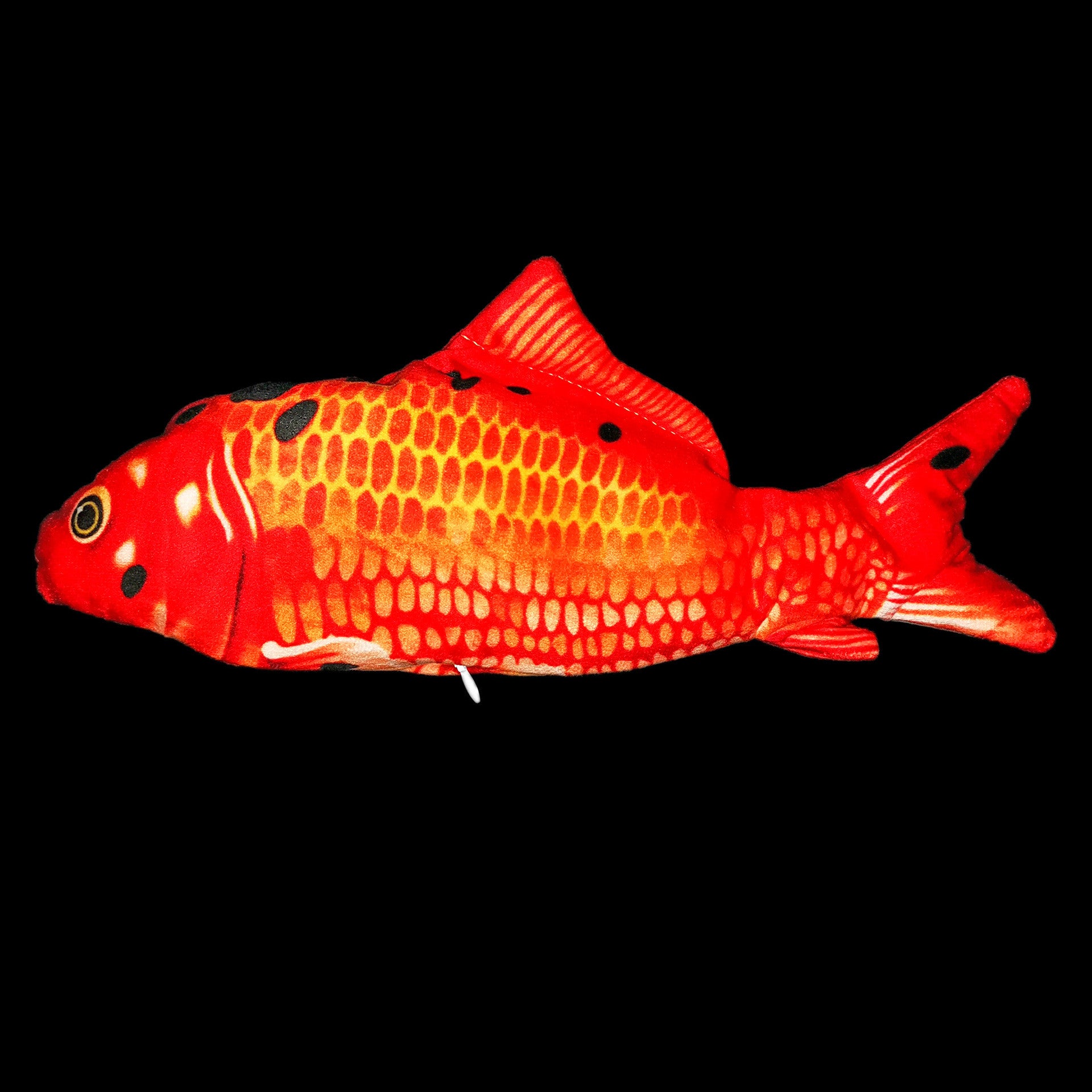 Electric Jumping Fish