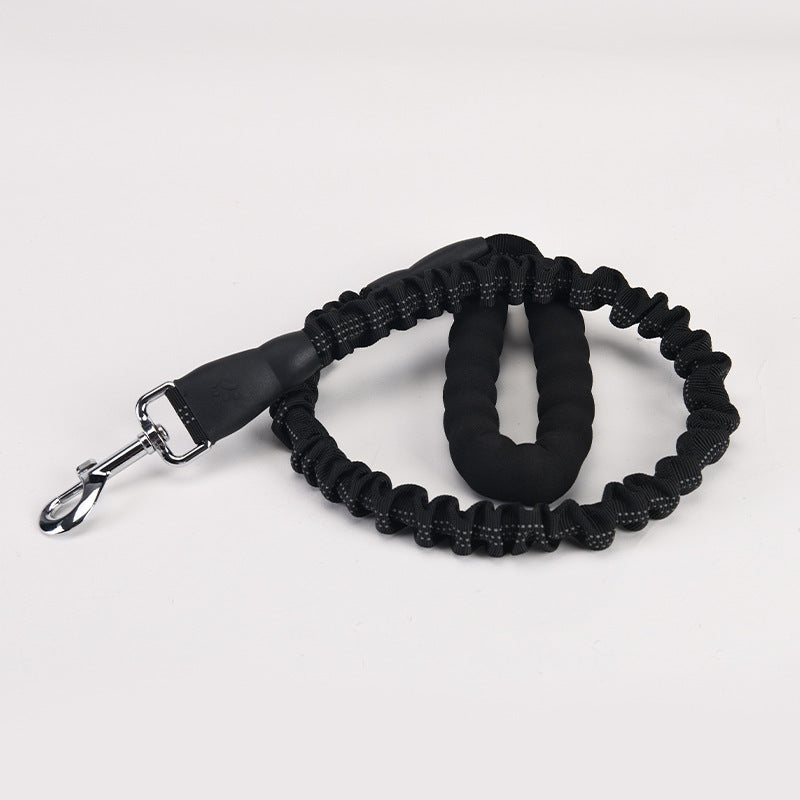 Lengthened Dog Leash