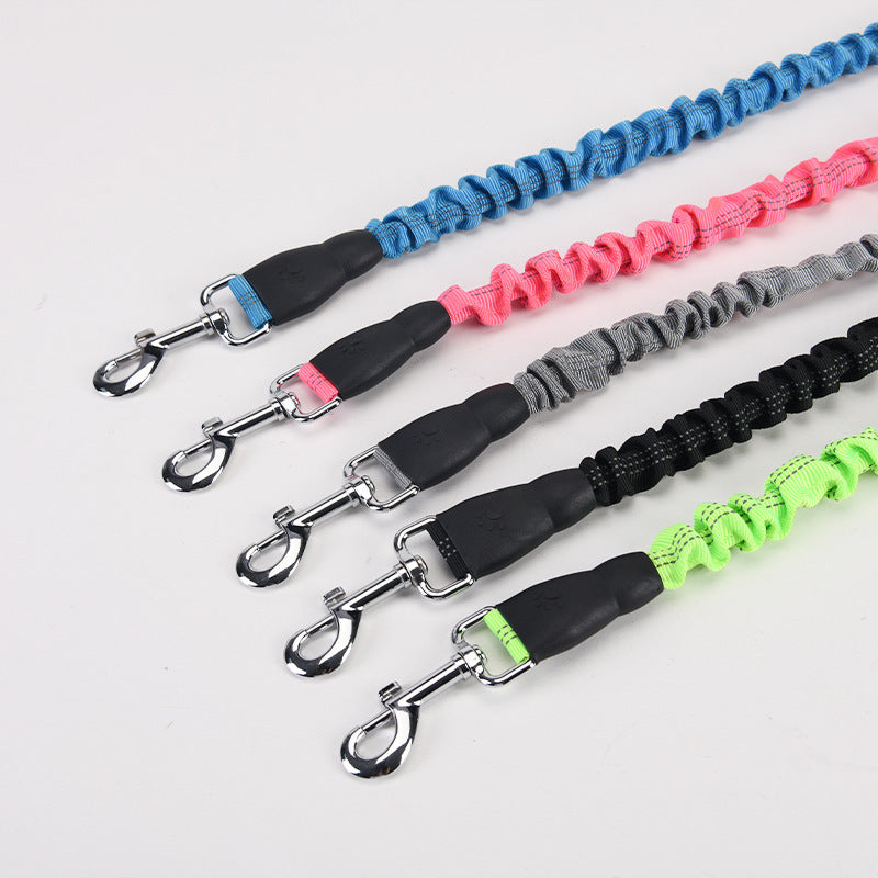Lengthened Dog Leash