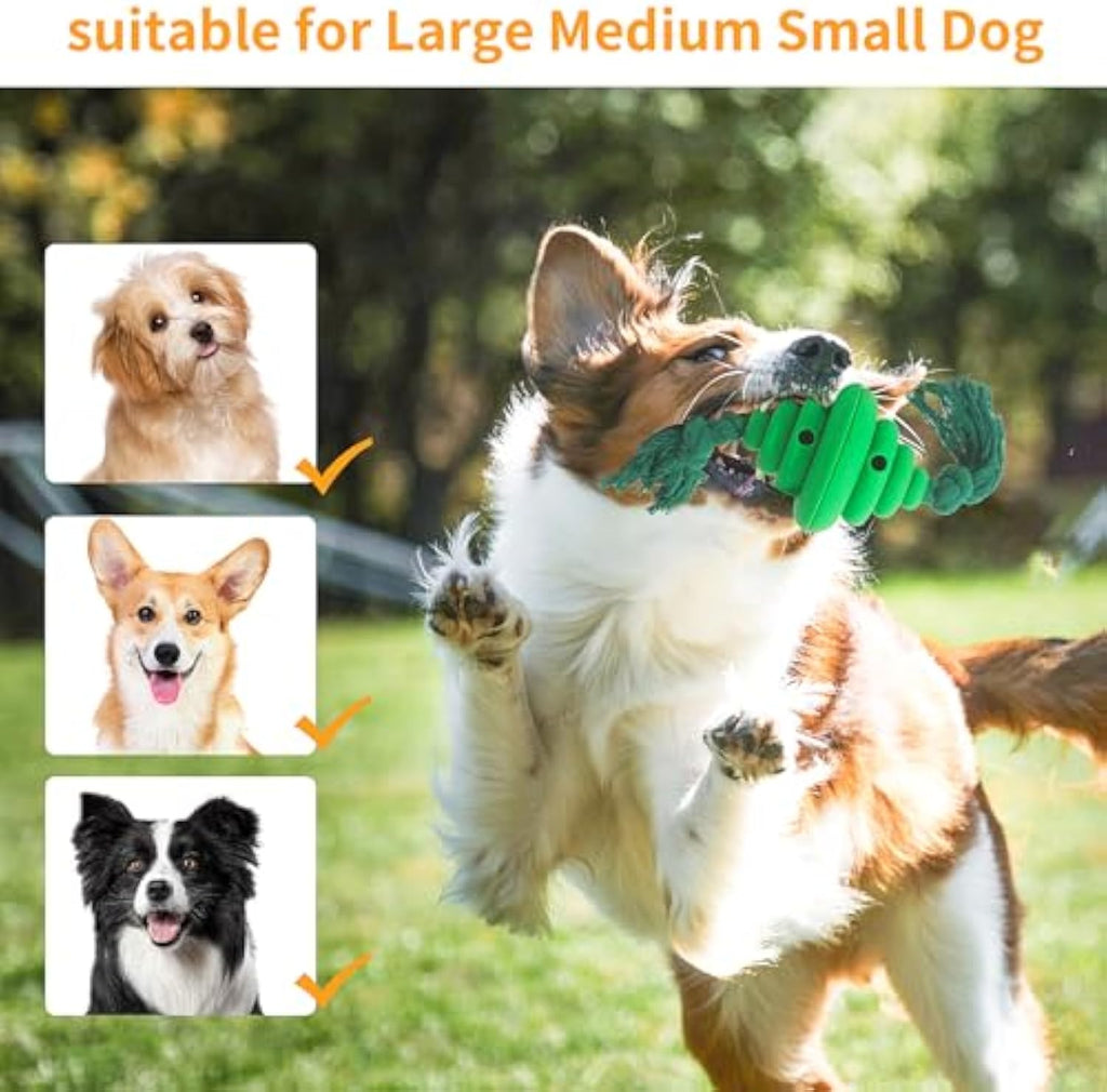 Dog Ball With Rope