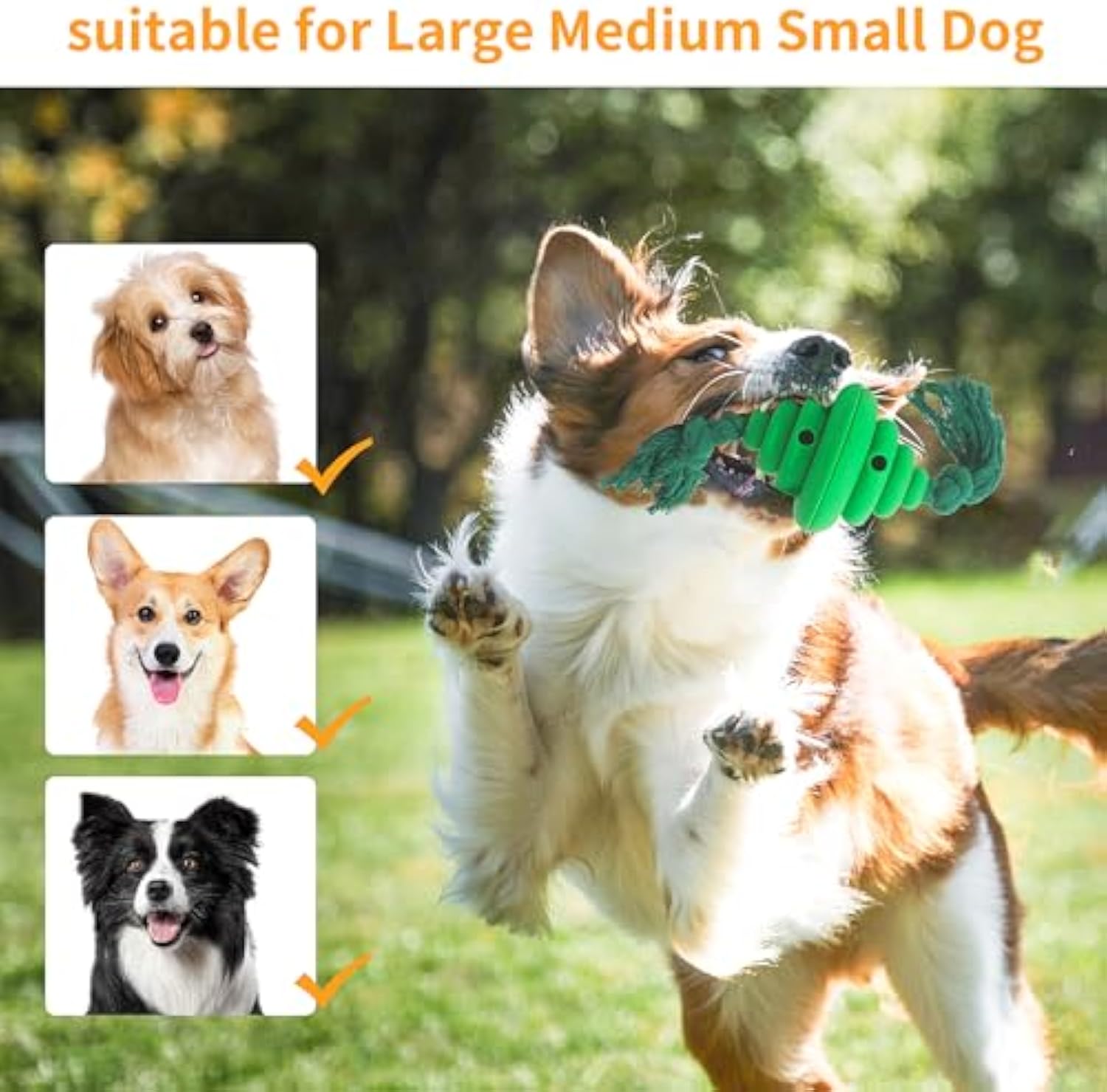 Dog Ball With Rope