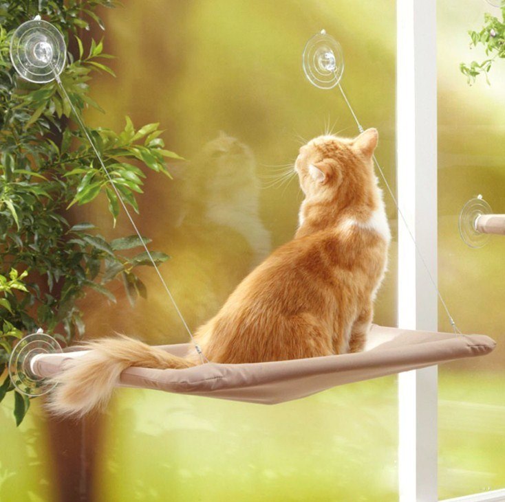 Window Mounted Hammock for Kittens/Cats