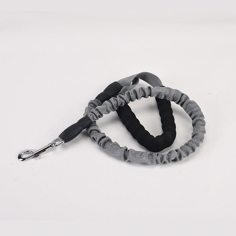 Lengthened Dog Leash