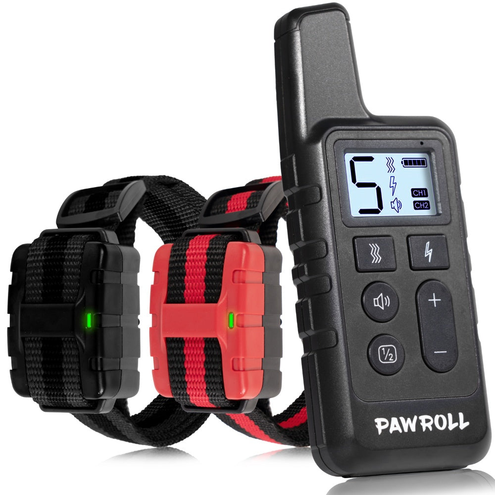 Training Collar