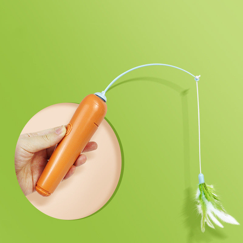 Cat Toy