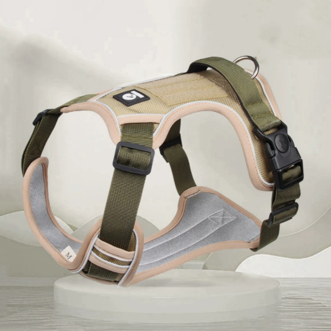 Harness For Large Dogs