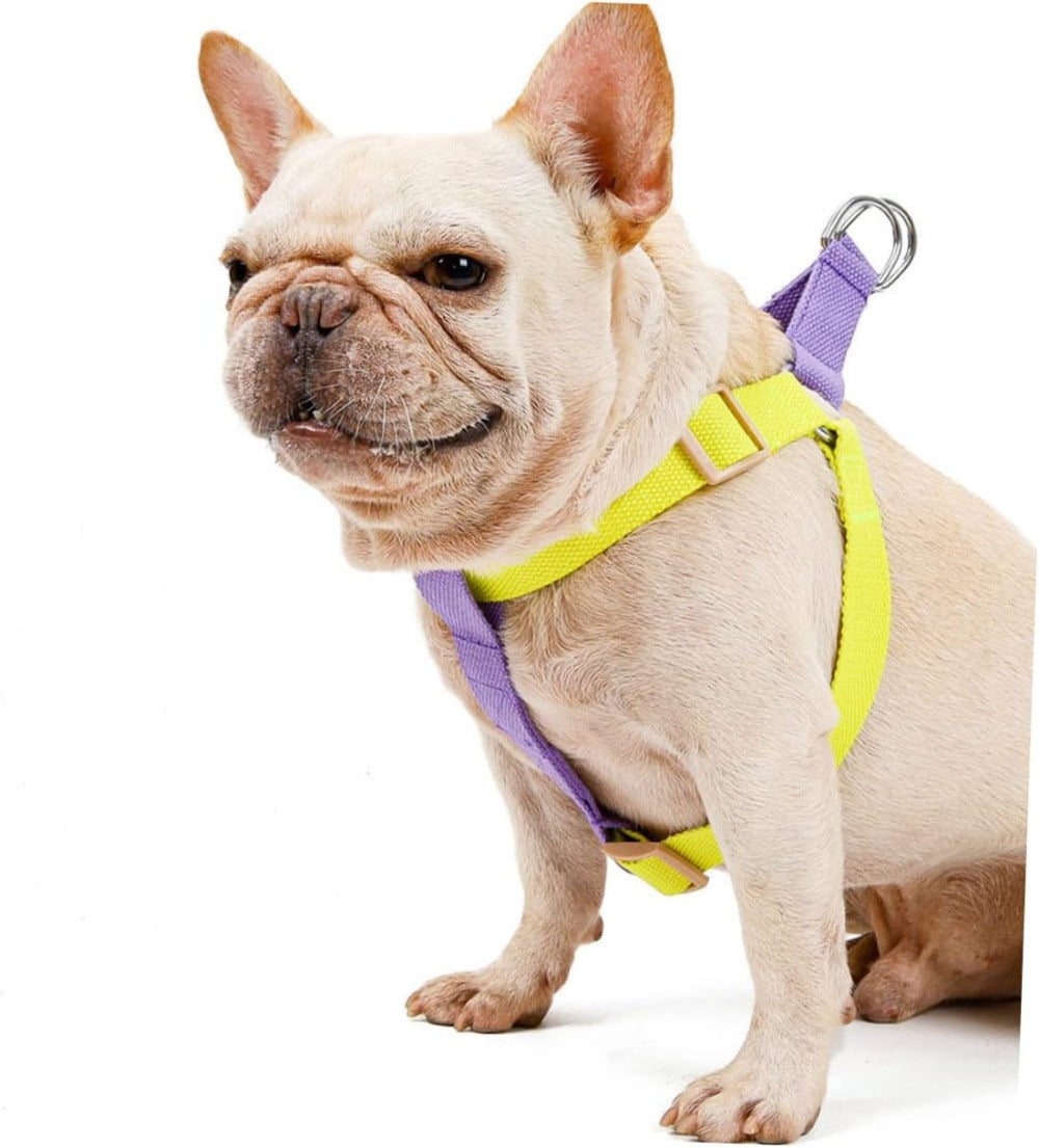 Dog Harness And  Pet Leashes For Small Dogs