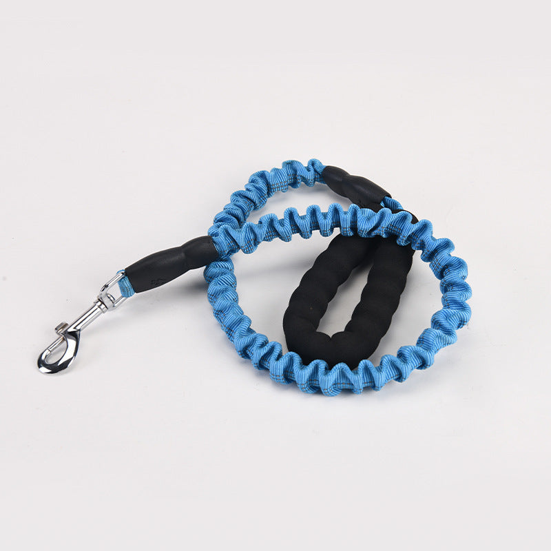 Lengthened Dog Leash