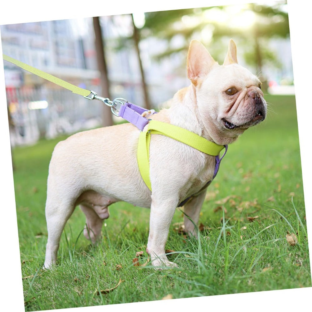Dog Harness And  Pet Leashes For Small Dogs