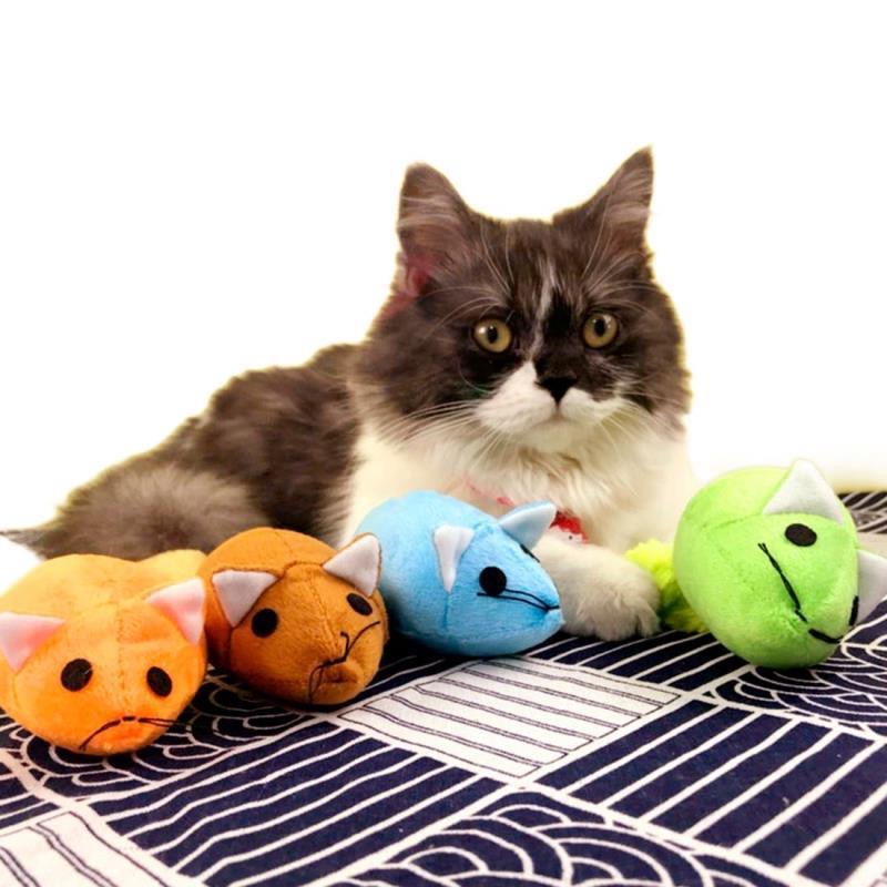 Mouse Cat Teaster Toys
