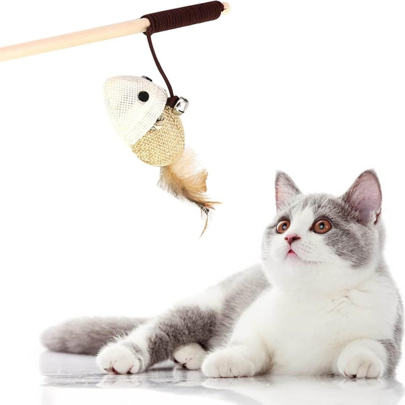 Teaser Feather Toy for Kittens & Cats