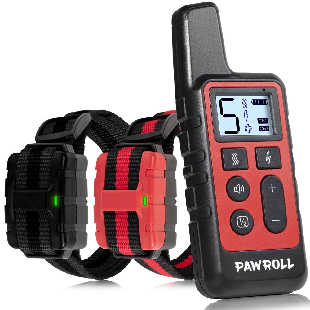 Training Collar