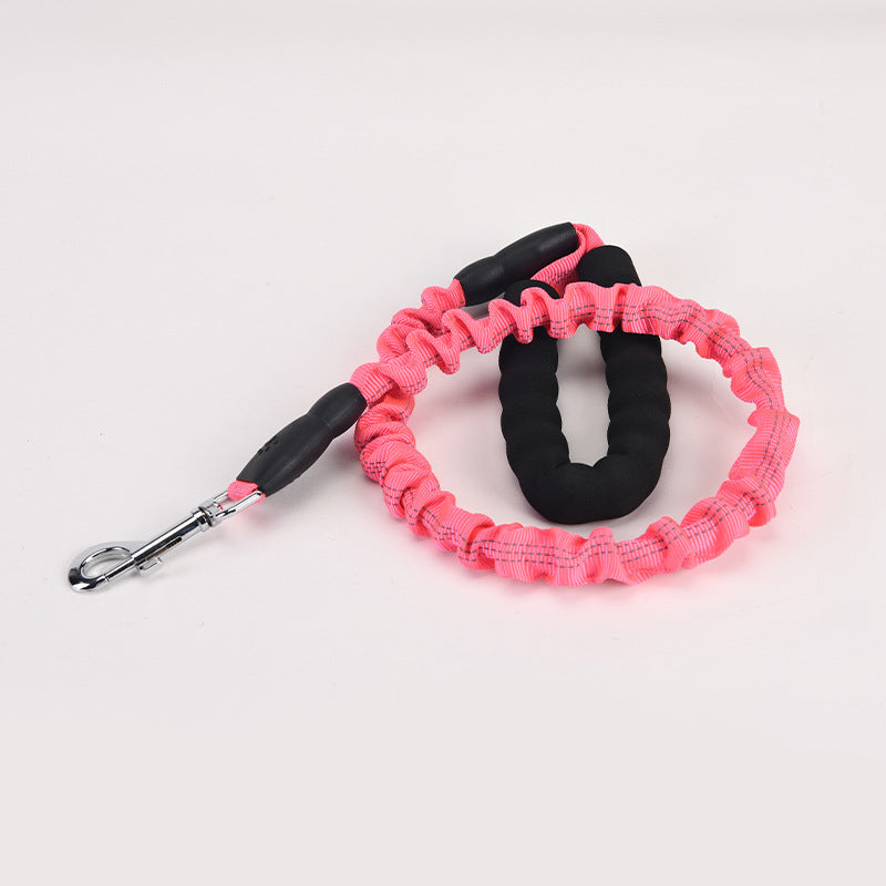 Lengthened Dog Leash
