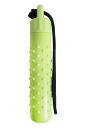 Dog Water Training Toy