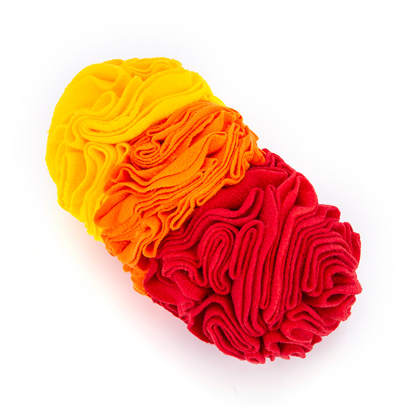 Dog Treat Finder Toy