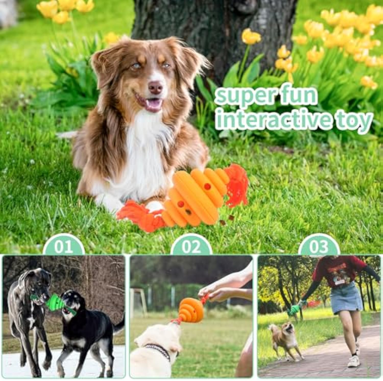 Dog Ball With Rope